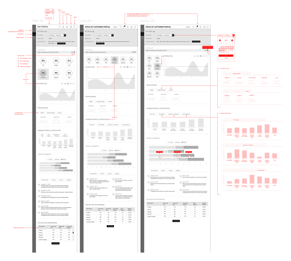Voice of Customer Portal Wireframes